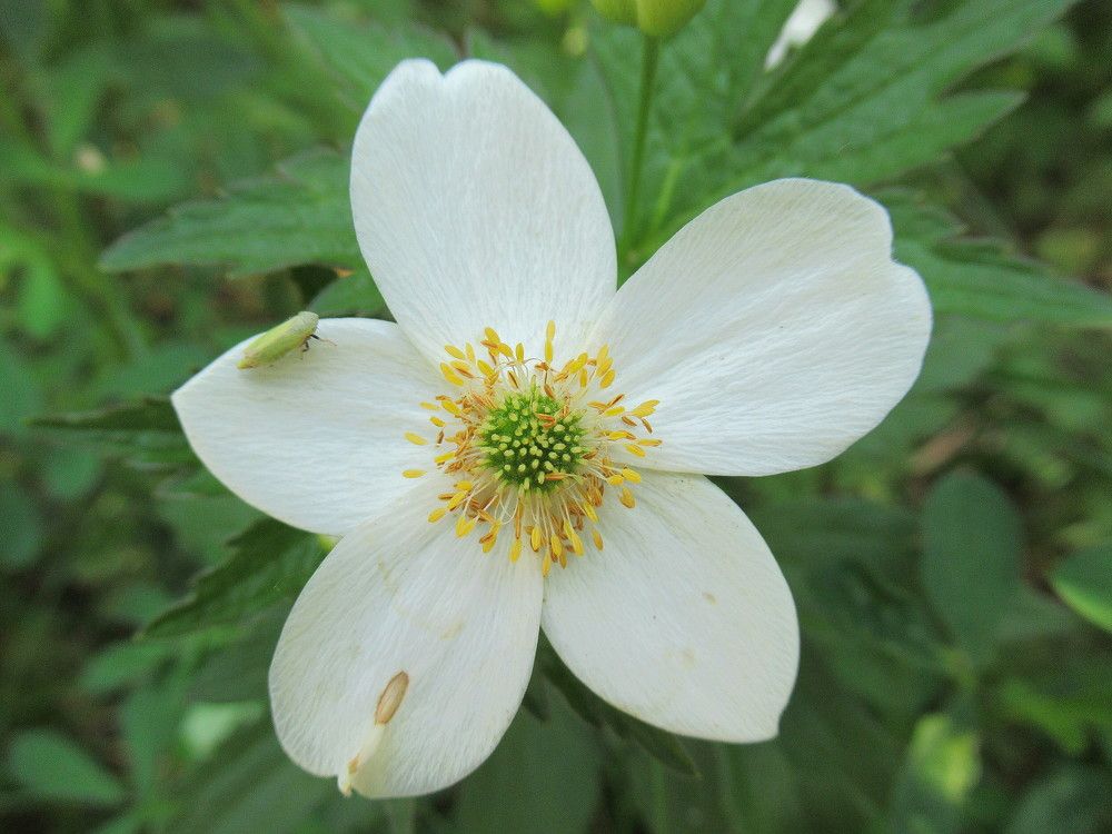 Photograph by Владимир