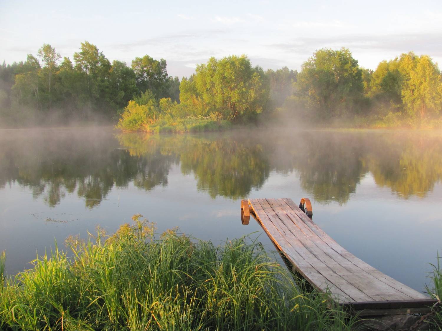Photo #11406521