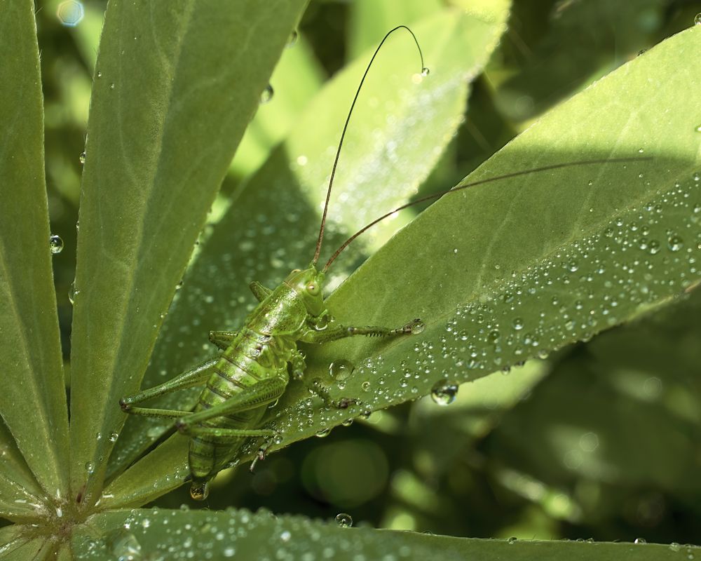 Photograph by Людмила Железнова