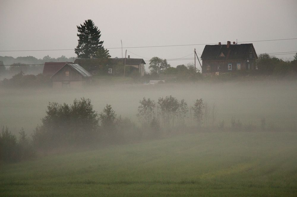 Photograph by Ольга Ходова