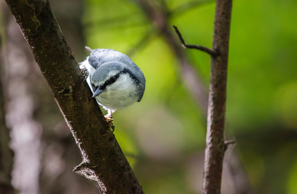 Photograph by Максим Романов