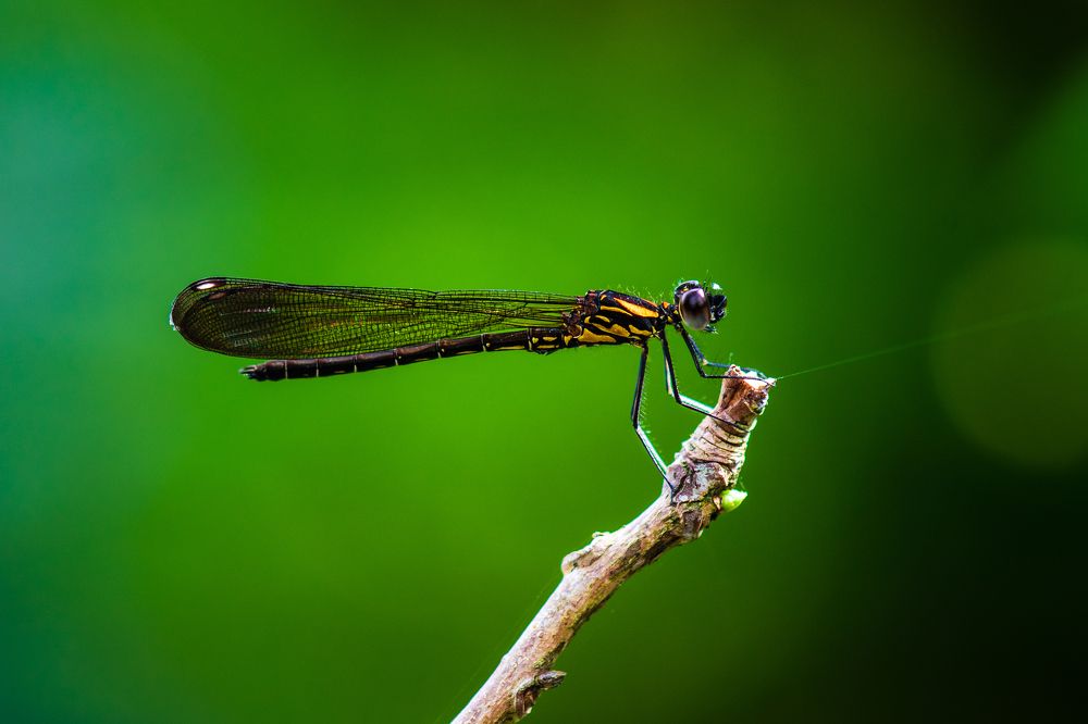 Photograph by shabu joseph