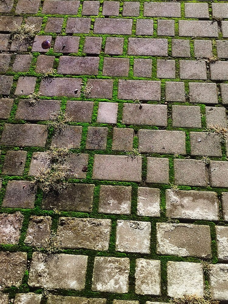 Photograph by Сергей Симаков