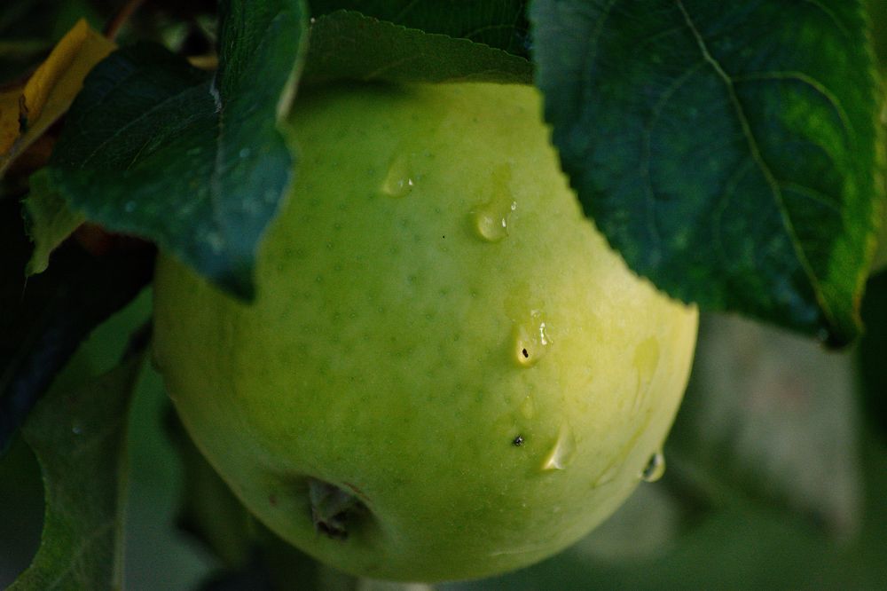 Photograph by Сергей Симаков