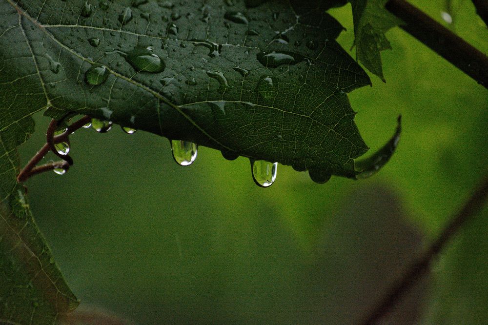 Photograph by Сергей Симаков