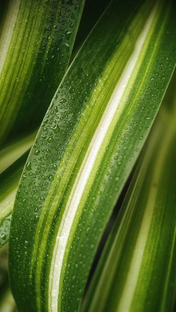 Фотография автора Ольга Кунакова