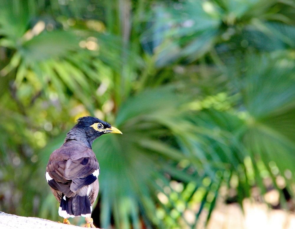 Photograph by Светлана