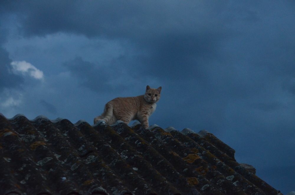 Photograph by Светлана