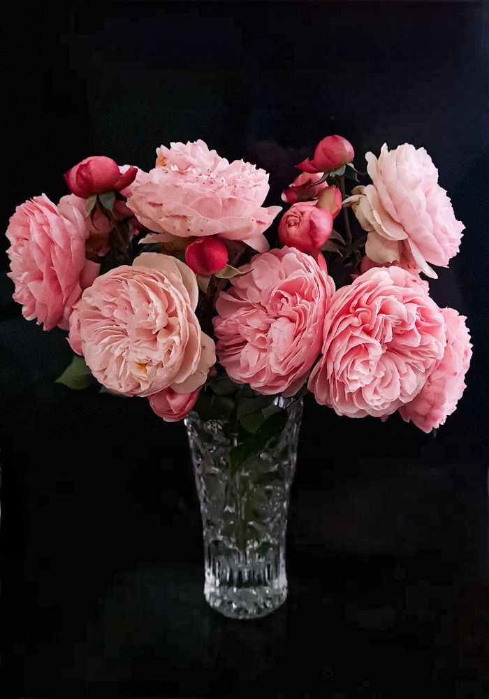 Photograph by Инна Майорова