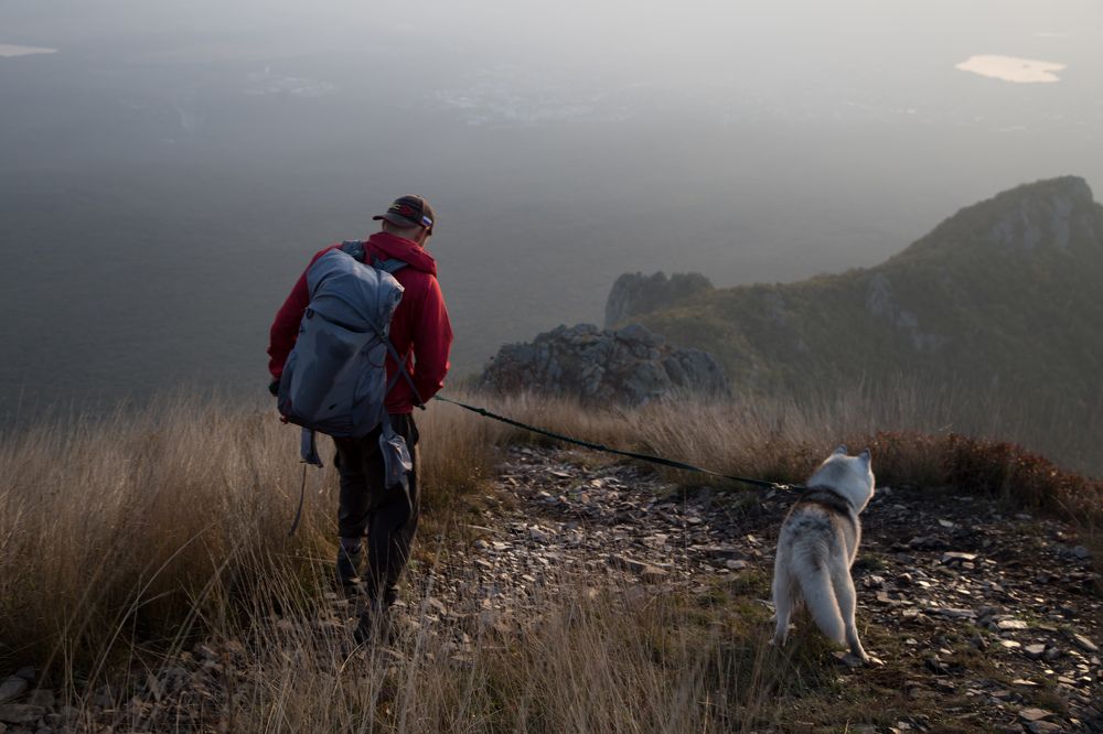 Photograph by Ольга