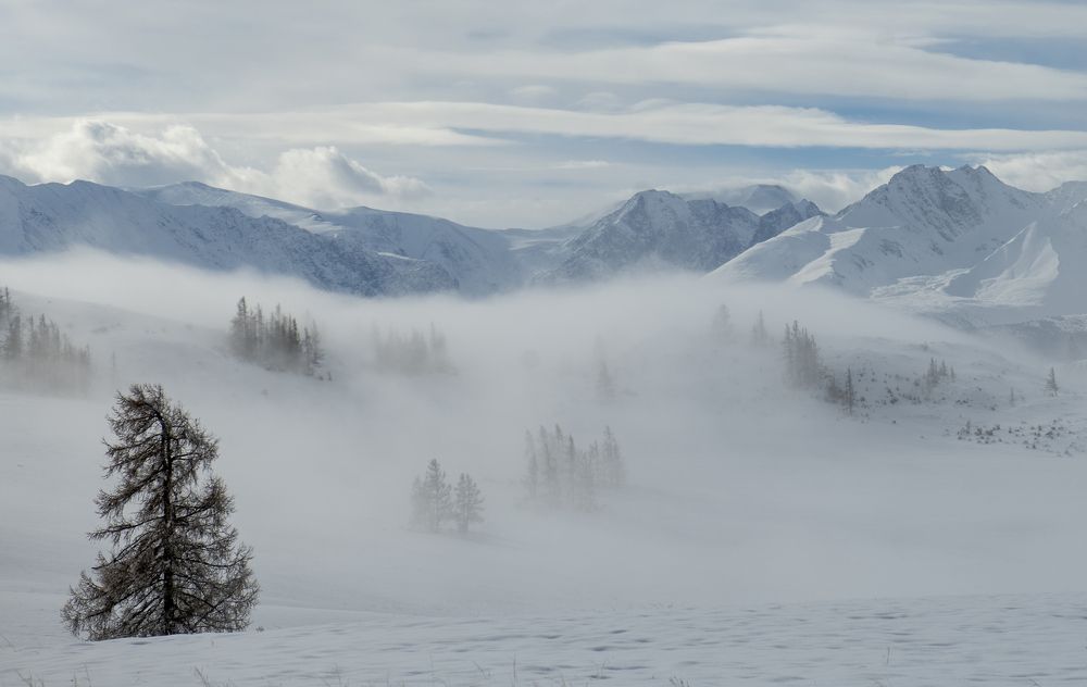 Photograph by Сергей Шерстнев