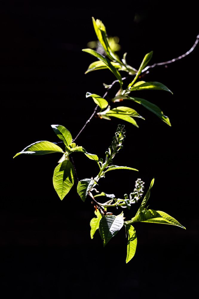 Фотография автора Ирина Гриценко