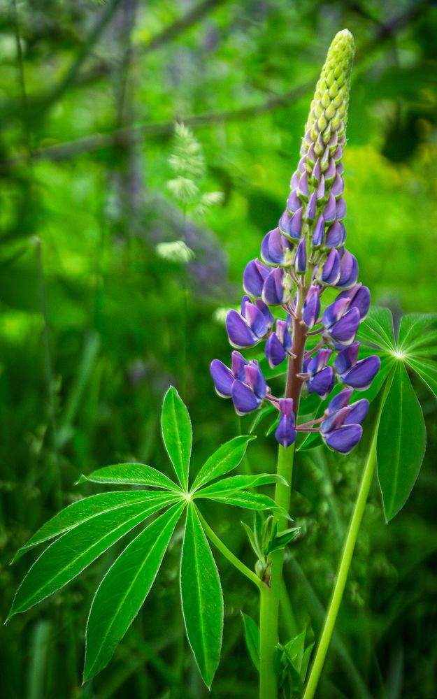 Фотография автора Вячеслав Коробов