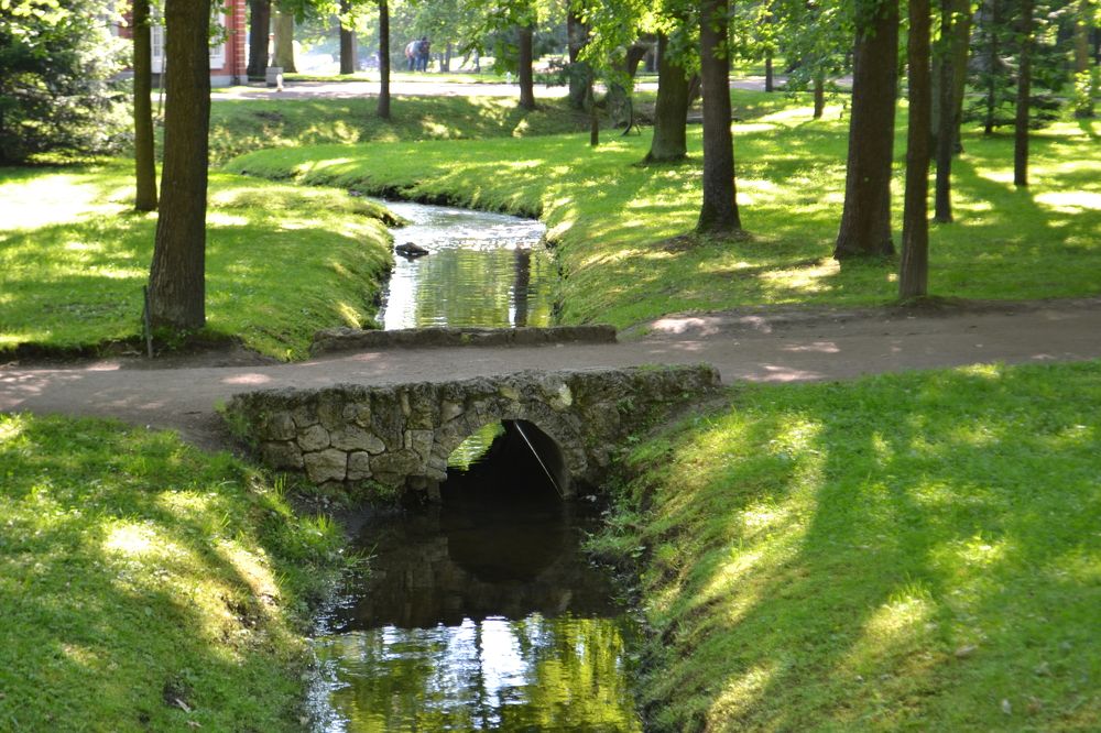 Photograph by Надежда Чаплынская