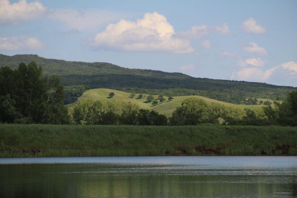 Зелёные холмы / Green Hills