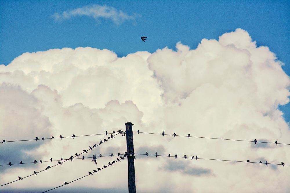 Photograph by Сергей Симаков