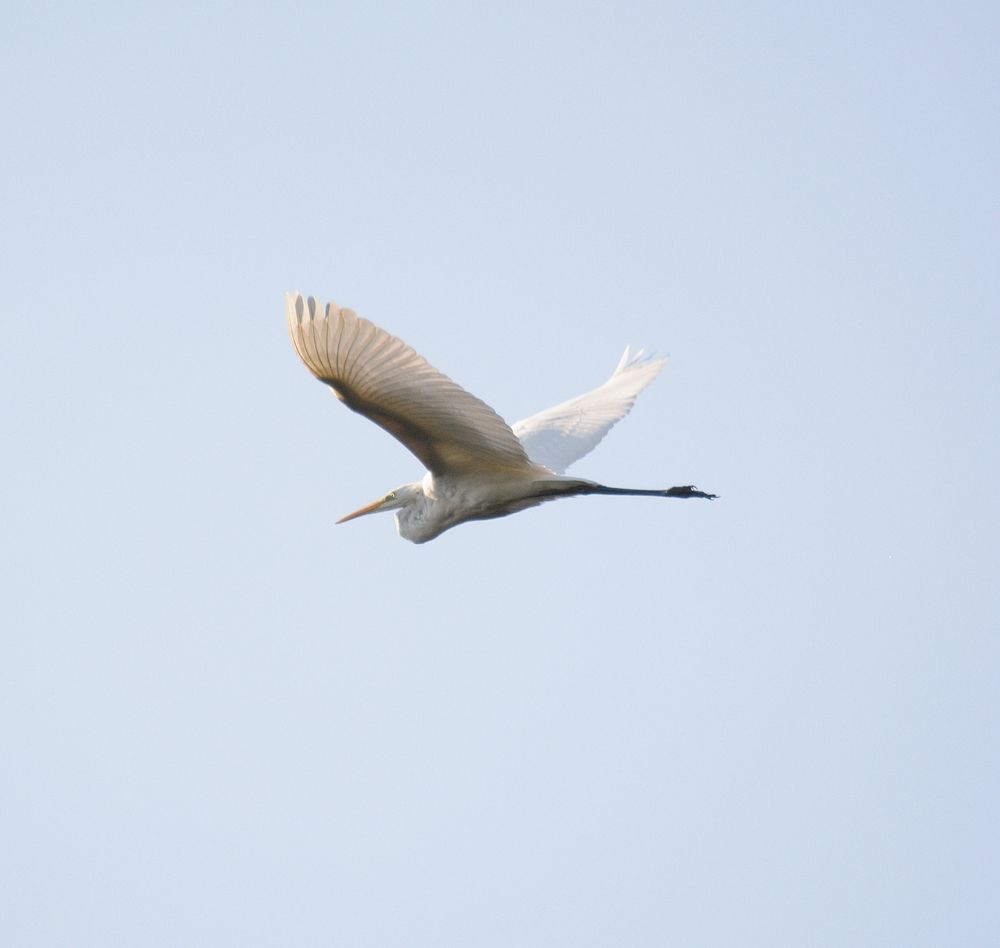 Photograph by Сергей Симаков