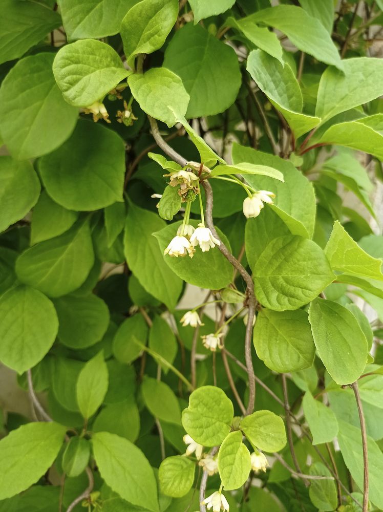 Photograph by Валентина Рябуха