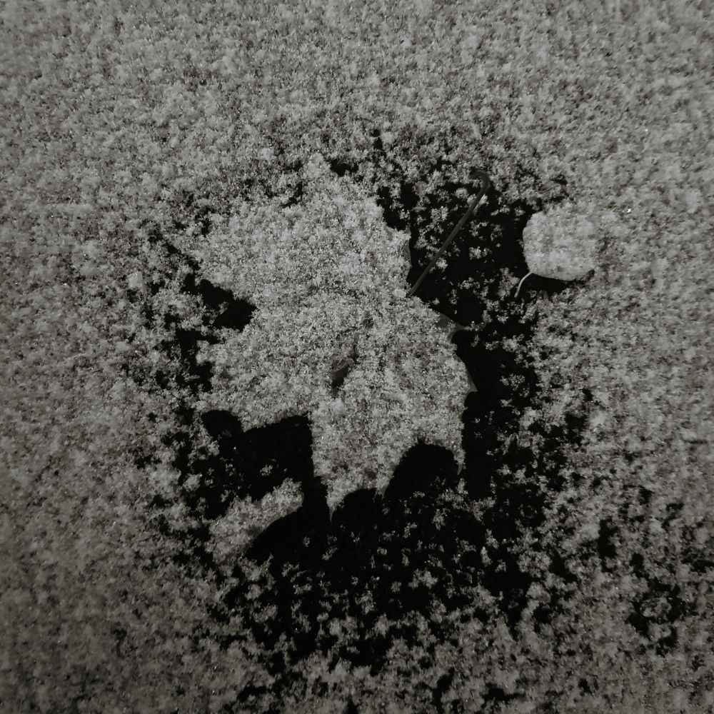 Photograph by Семен Батов