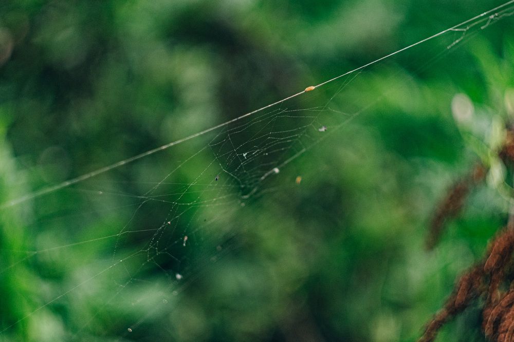 Photograph by Елена Швецова