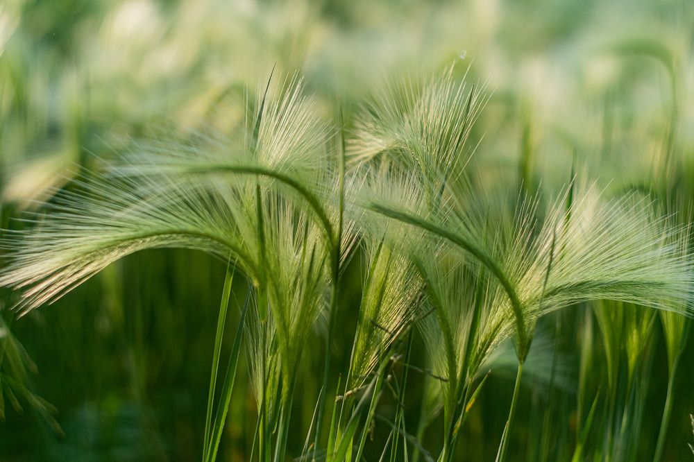 Photograph by Елена Швецова