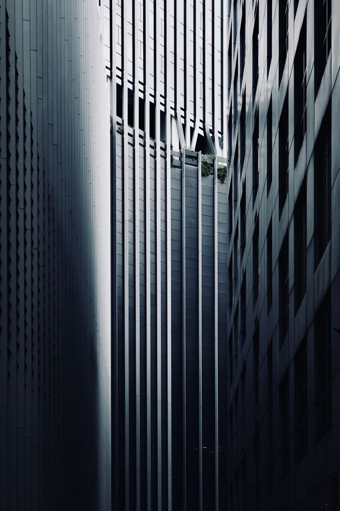 Photograph by Ombeline Olmer