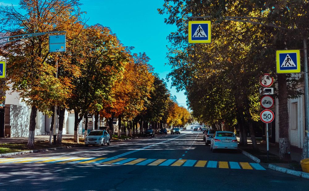 Photograph by Дмитрий Педченко