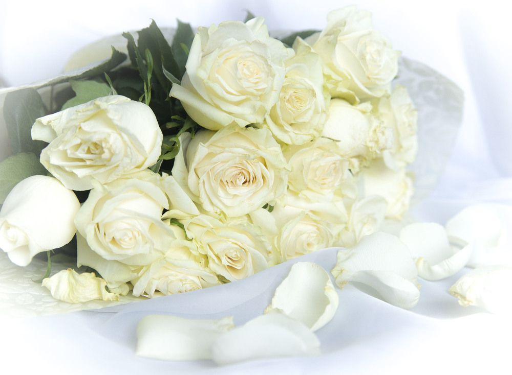 Photograph by Ольга Яскунова