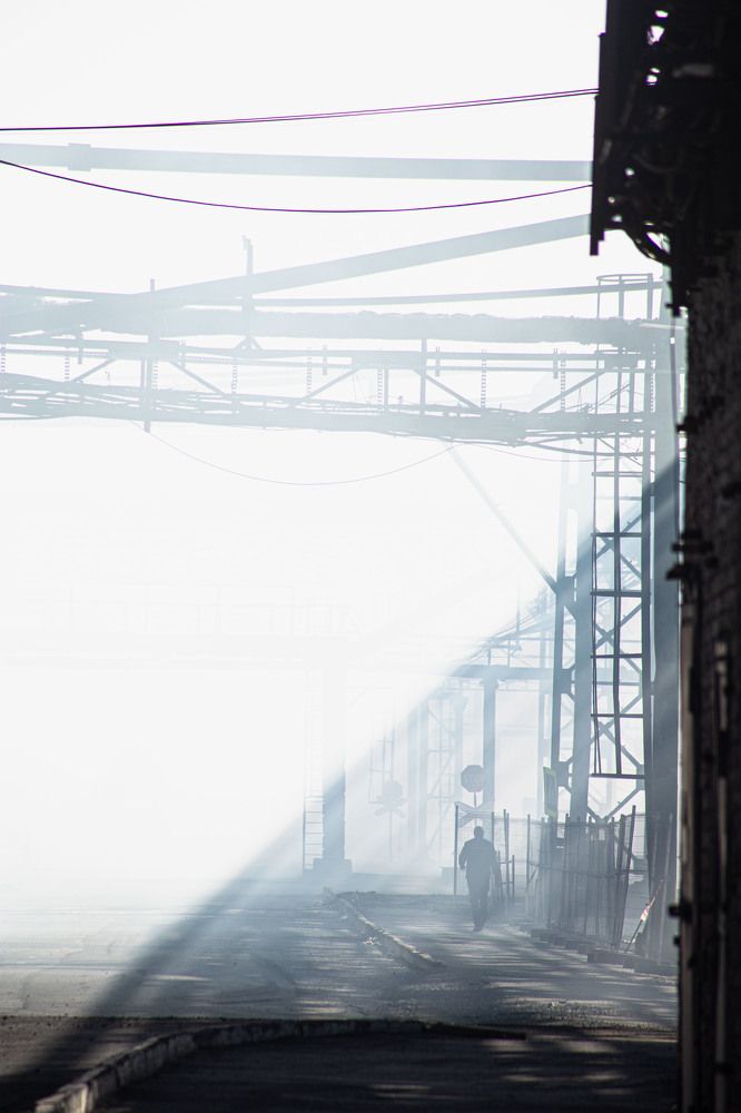 Photograph by Синицын Дмитрий