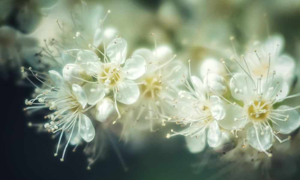 Photograph by Irina Luidinshina