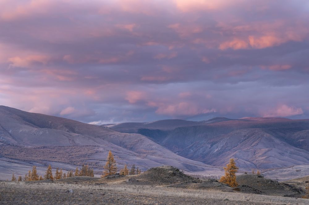 Photograph by Галина