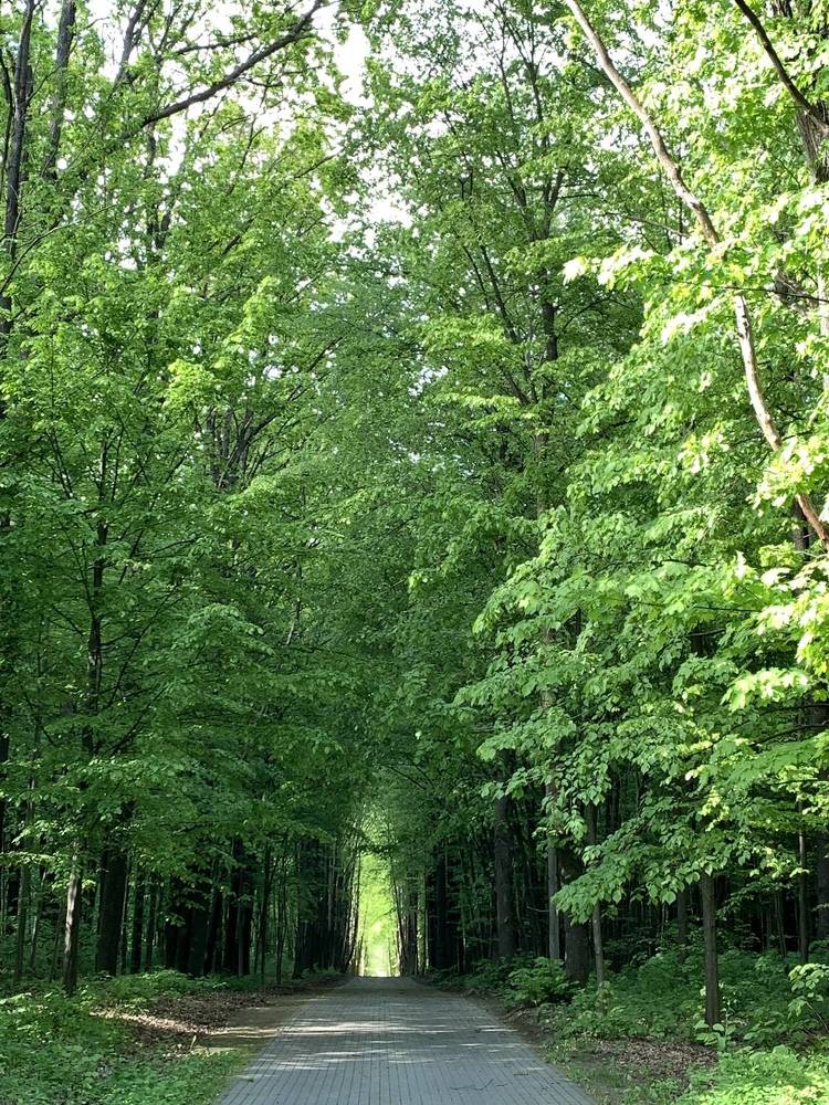 Фотография автора Ирина Шпаковская