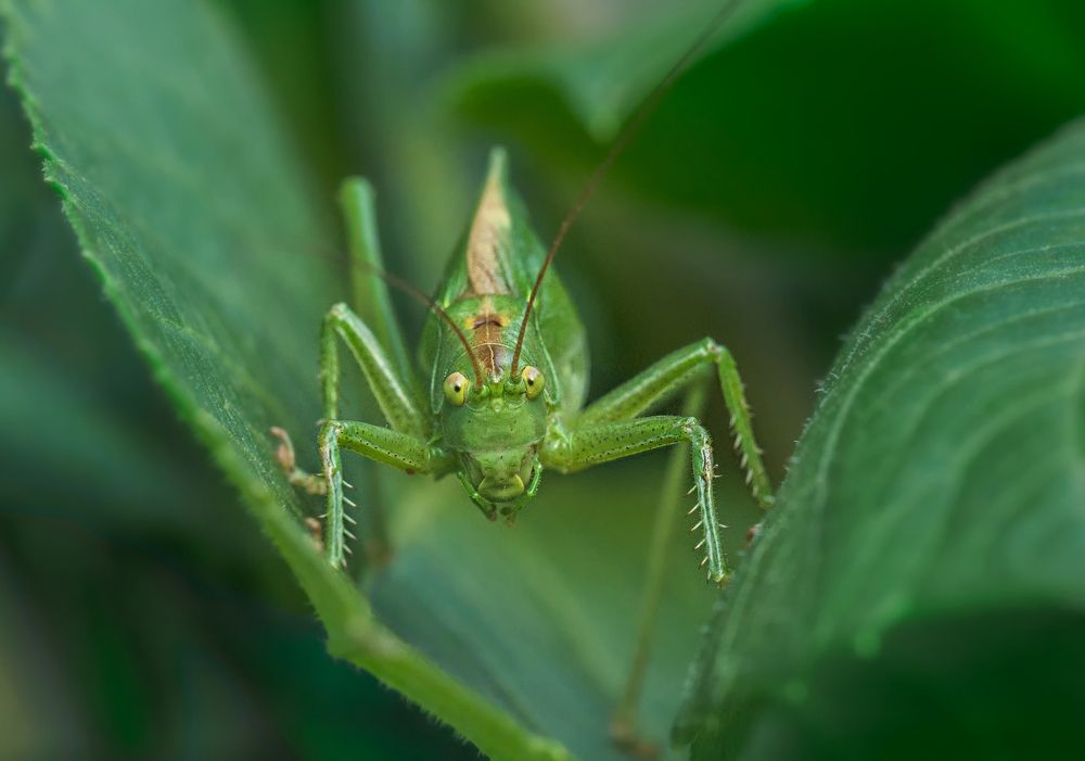 Photograph by Олег Тыркин