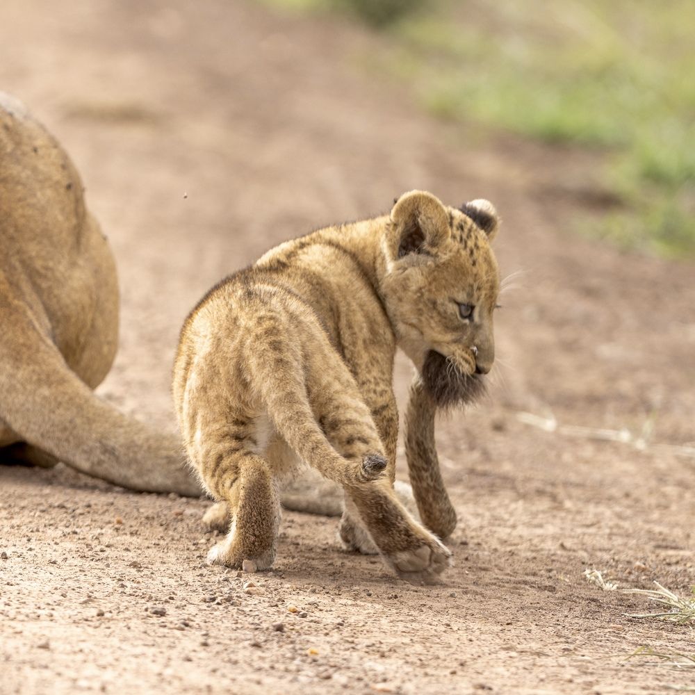 Photograph by Silvia Ribeiro