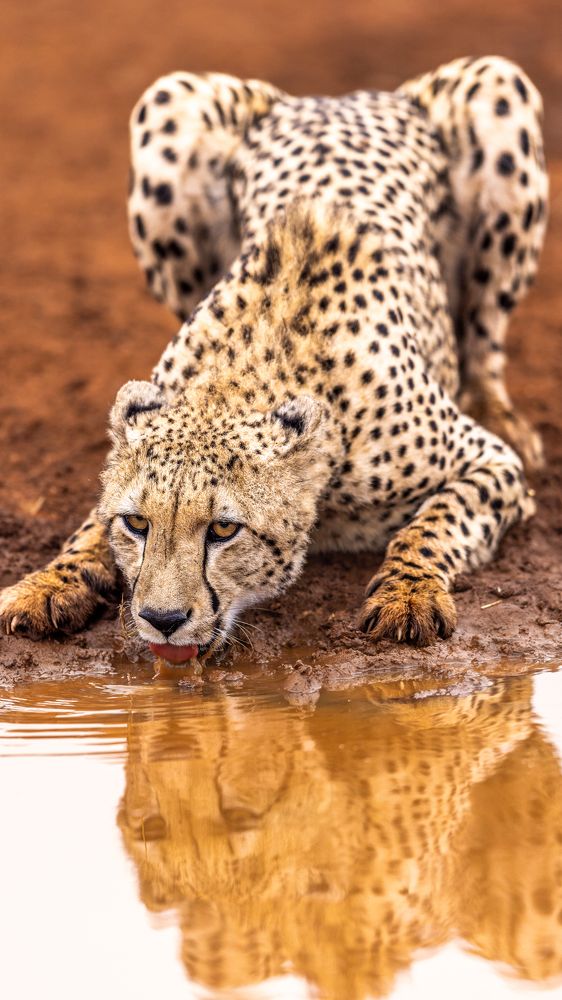 Photograph by Silvia Ribeiro