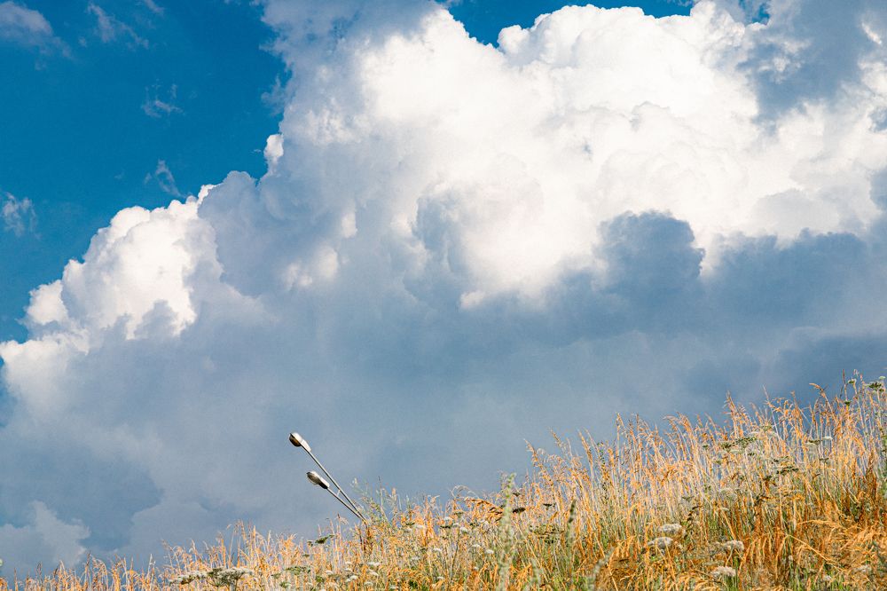 Фотография автора Ирина Гриценко