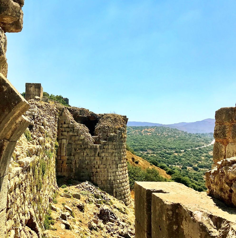 Photograph by Татьяна Шитлина