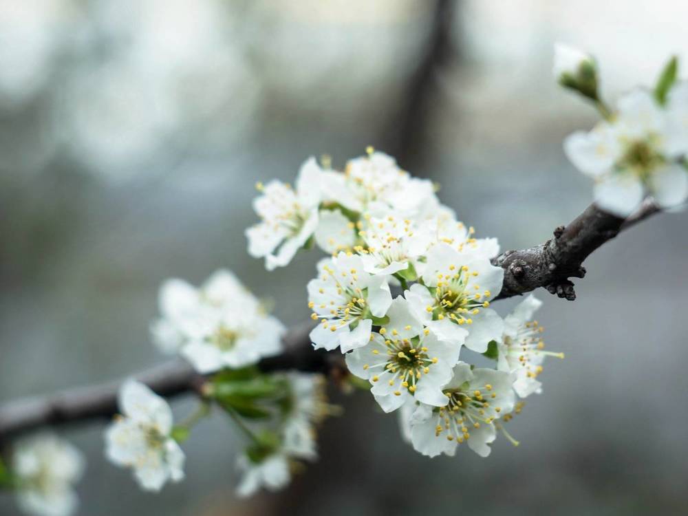 Photograph by Людмила Прибылова