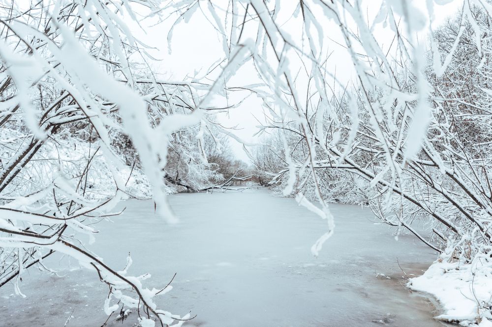 Photograph by Елизавета Фирстова