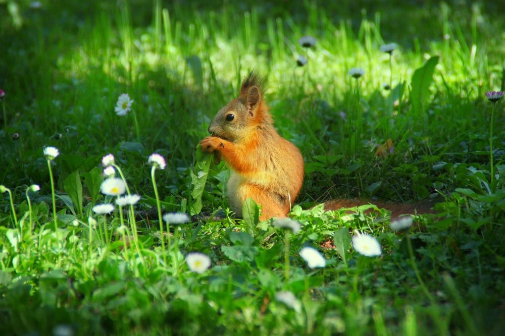 Photograph by Елена Гостева