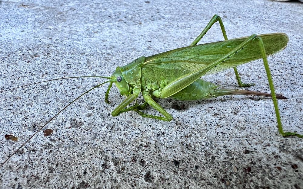 Photograph by Natalya