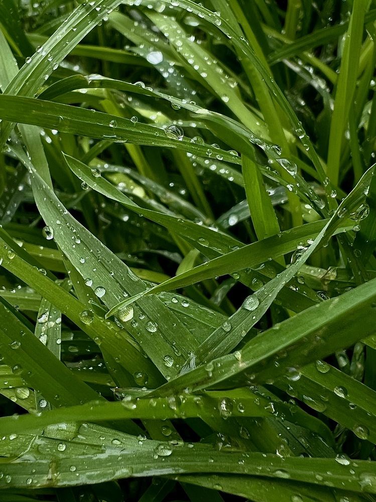 Photograph by Natalya