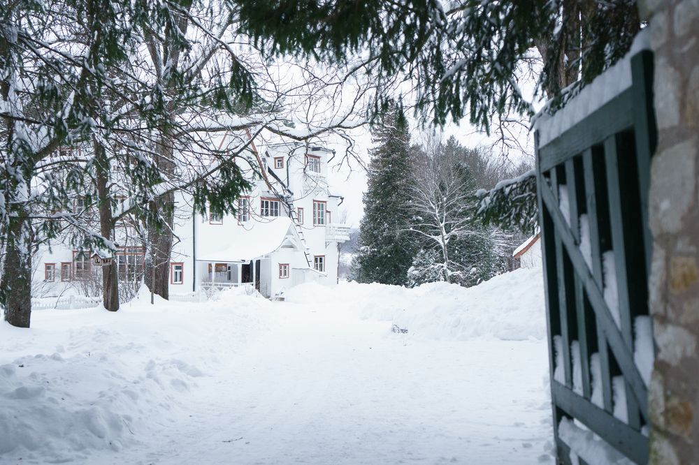 Photograph by Елизавета Фирстова