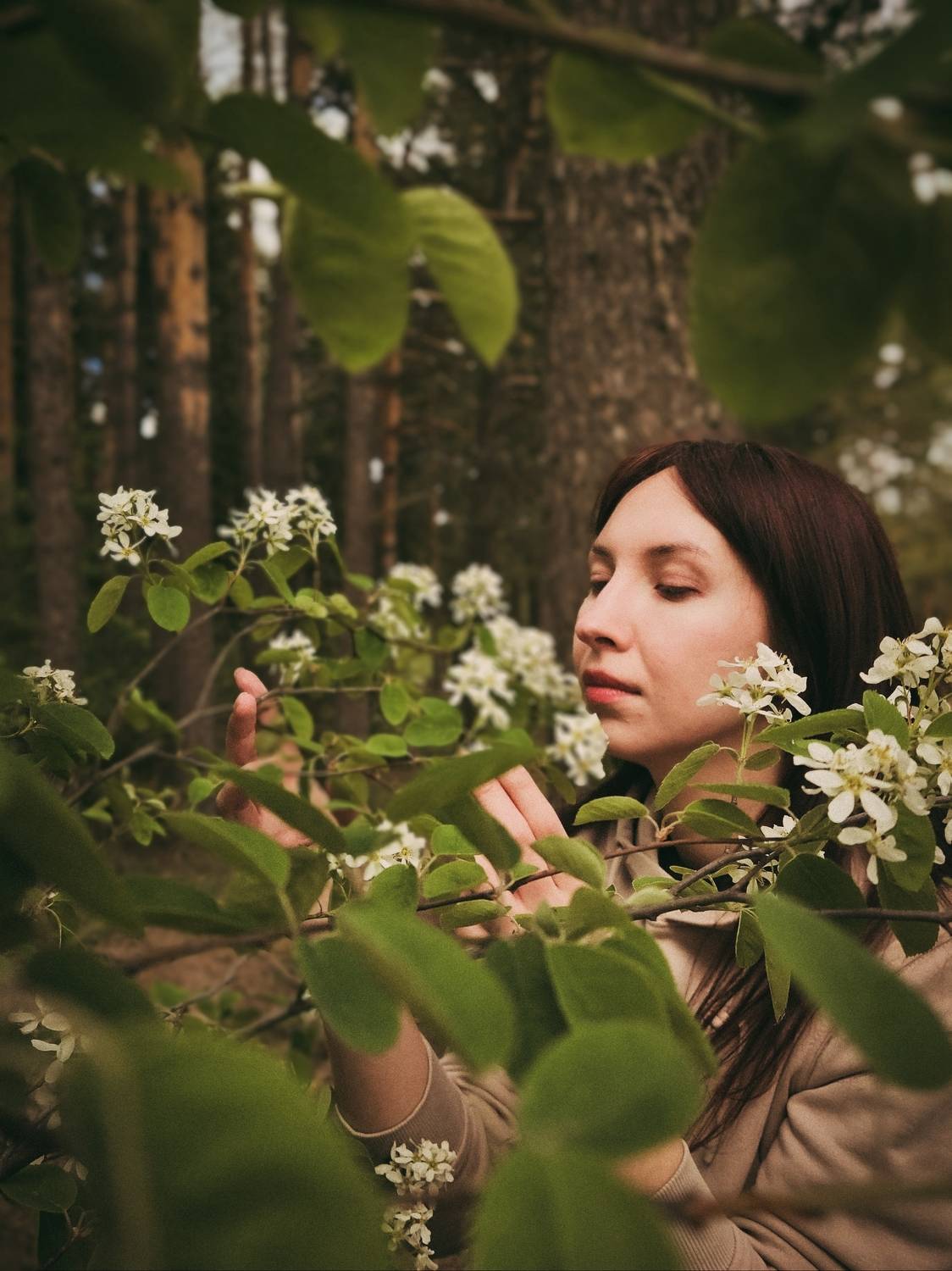Photo #11407309