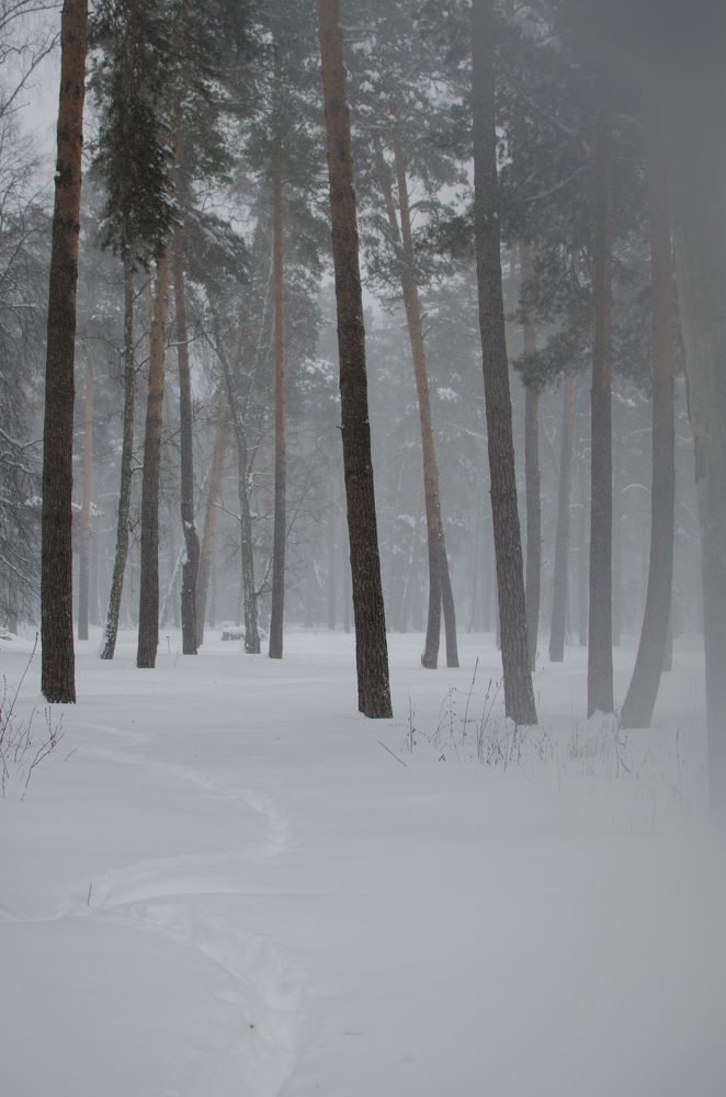 Photograph by Елизавета Фирстова