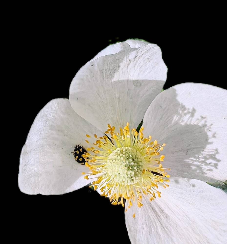 Photograph by Светлана