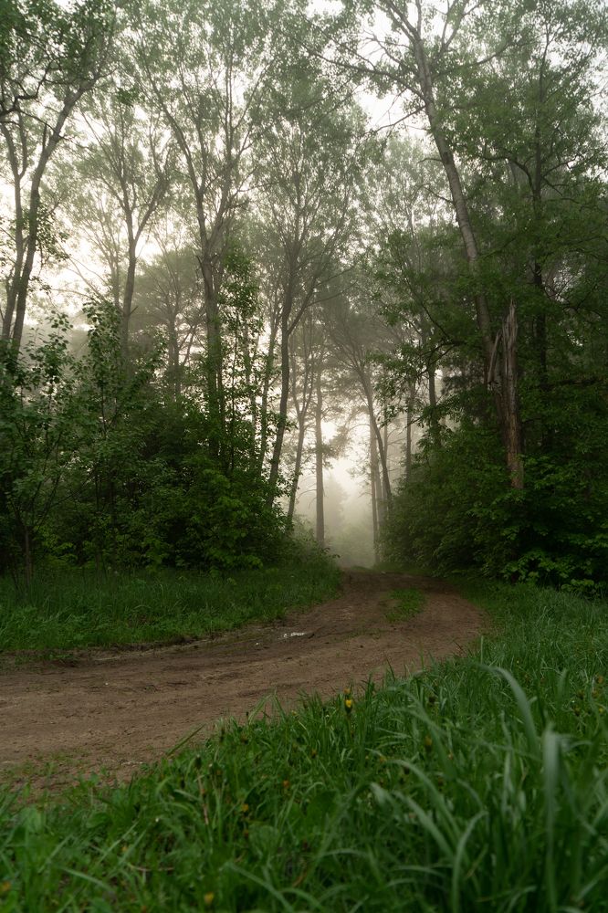 Photograph by Елизавета Фирстова