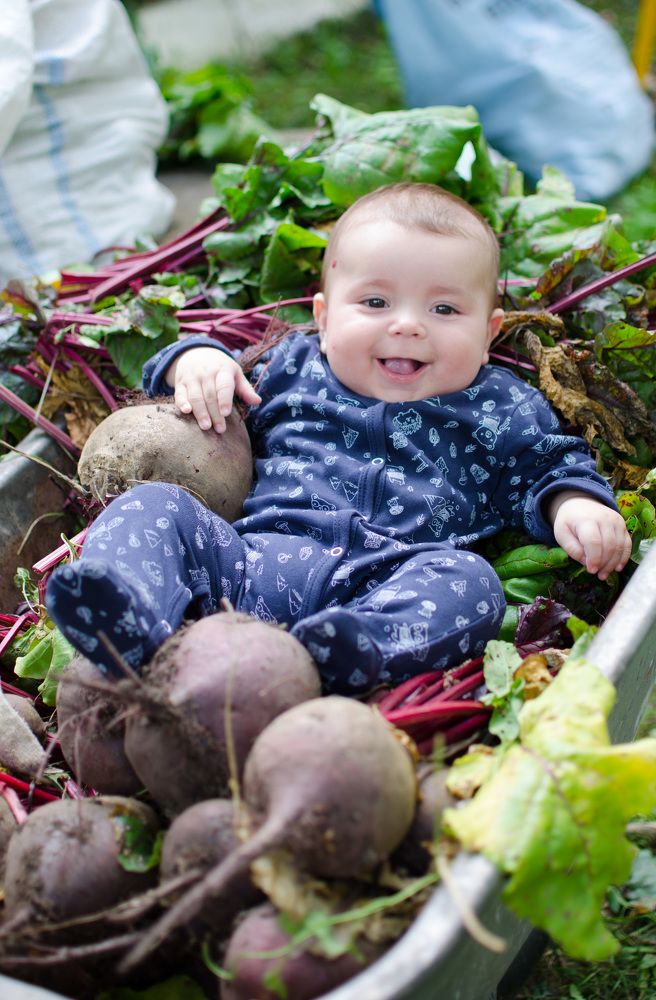 Photograph by Елизавета Фирстова