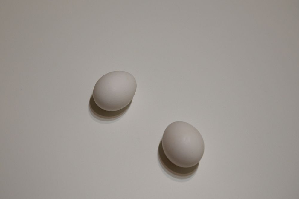 Photograph by Екатерина Степанова