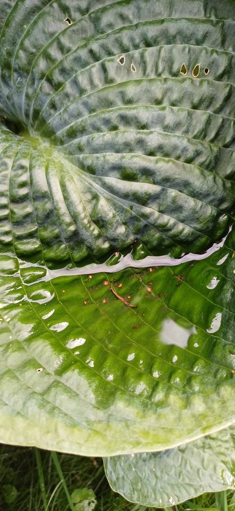 Photograph by Елена Немешаева